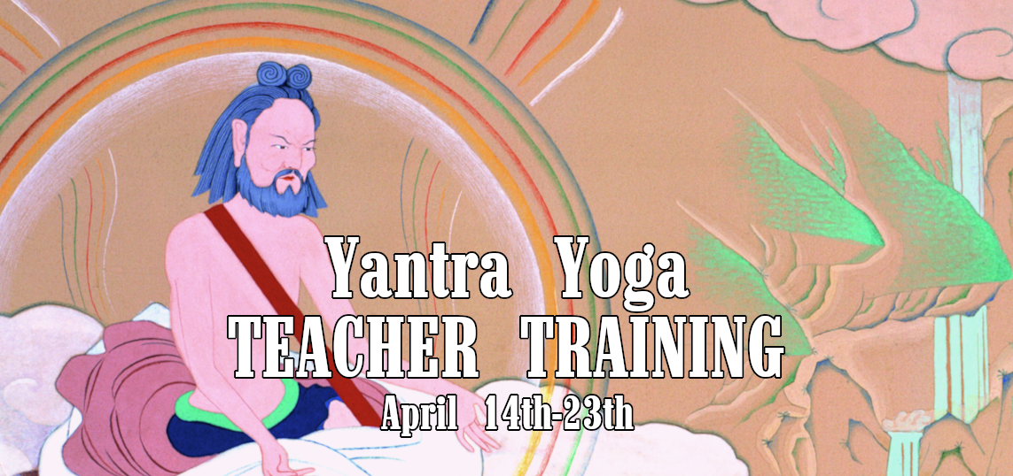 Yantra Yoga Teacher Training Level II